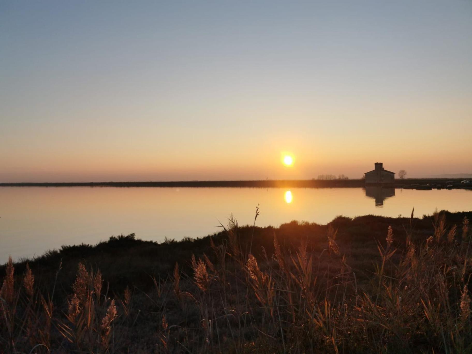 Comacchio Experience - Ospitalita Diffusa Lido di Pomposa Exteriör bild